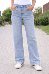 GOODIES 'PANTALON LARGE' | LICHT GLITTERS (DJ2867)